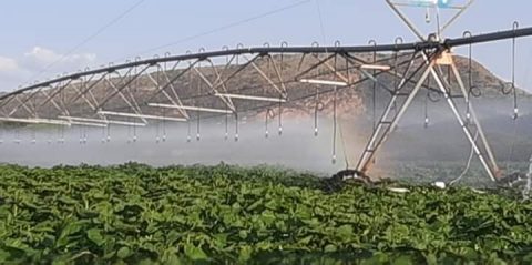 irrigation-boom-sprayers